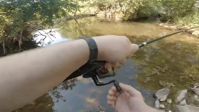 Bank Fishing For Sunfish With Berkley Gulp Alive Minnows