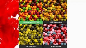 КАК ВИДЯТ МИР ДАЛЬТОНИКИ?