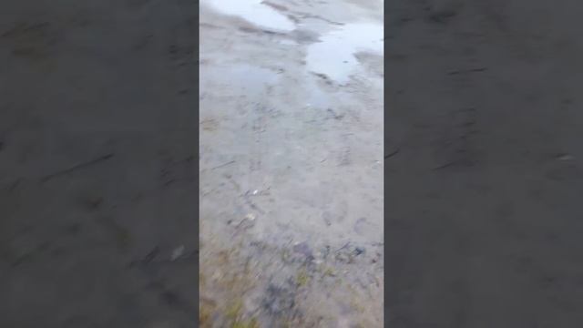 Могилев улица Челюскинцев д.168 смотреть онлайн