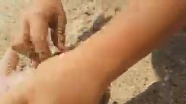 JAZ GRAND MARSA 5*. Раки на пляже 🦀🦐Египет. Марса Алам. Пляж отеля. Безветренная бухта CORAYA. смотреть онлайн