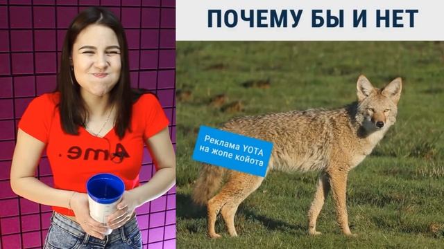 Самое смешное видео в мире. Попробуй не засмеяться с водой во рту челлендж, ч. 49 смотреть онлайн