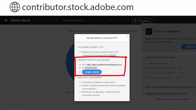 Новая загрузка файлов на Adobe Stock смотреть онлайн
