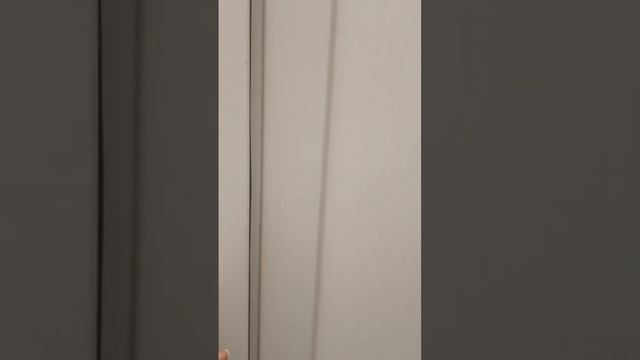 video 2023 06 29 13 06 43 смотреть онлайн