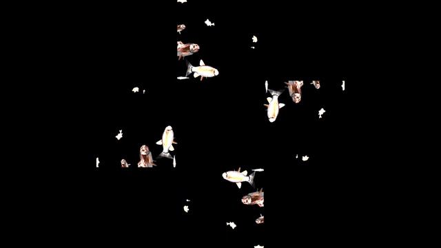 Реалистичная 3D голограмма. #hologram #3dhologram #голограмма