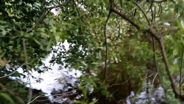 VID 1653607193893 Льнянокудрых тучек бег...(Н. Клюев)...Павел Васильев Лахтинский смотреть онлайн