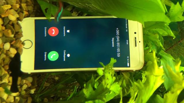 Тест iPhone 7 под водой смотреть онлайн