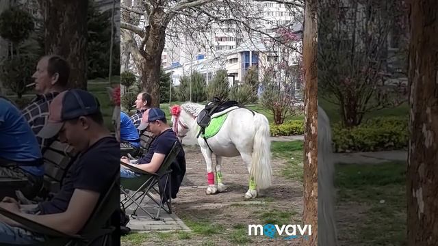С утра Проверка! смотреть онлайн