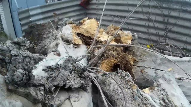 Бездействие коммунальщиков в Геническе могло привести к фатальным последствиям смотреть онлайн