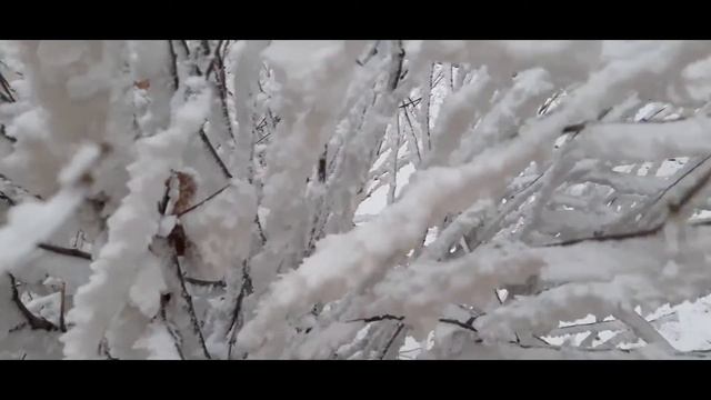 Изморозь (стихотворение В. Гаазова) смотреть онлайн