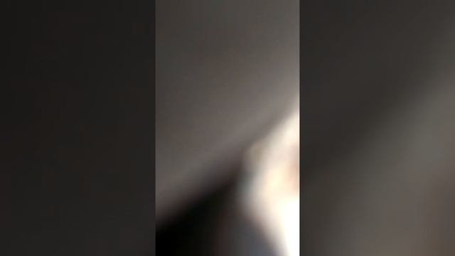 Телефон упал с 3 метров и не разбирался !!!!!!!!!! смотреть онлайн