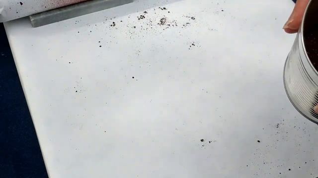 Eden: Cochineal Dye Project смотреть онлайн