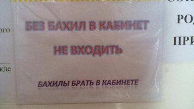 БАХИЛЫ И БАЦИЛЛЫ