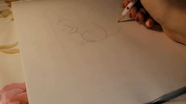 Как нарисовать белочку, рисунок карандашом смотреть онлайн