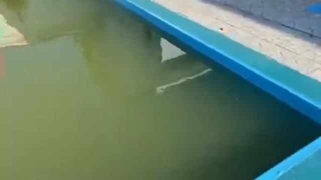 перекись водорода 60% для бассейна часть 1 смотреть онлайн