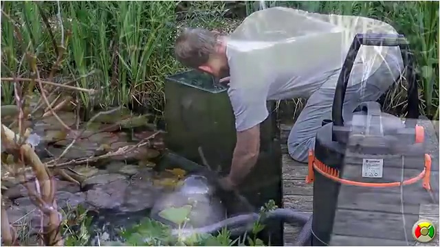 Аквариум наоборот. смотреть онлайн