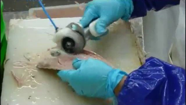 Устройство удаления костей у рыбы смотреть онлайн