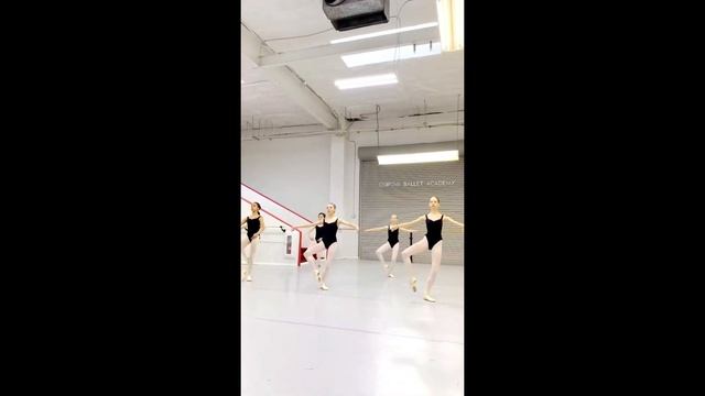 How we dance Rond de jambe par terre in combination with Battement Fondu, class from California 芭蕾舞 смотреть онлайн
