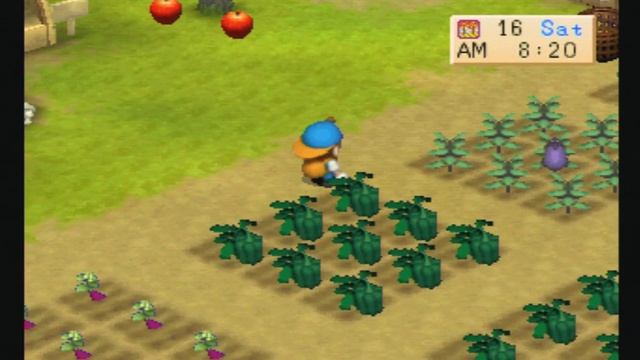 Harvest Moon: Back to Nature - Episode 87 - Eggplant or Bergine смотреть онлайн