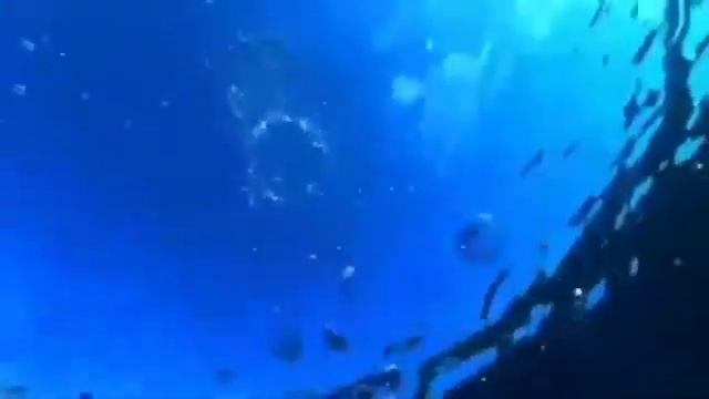??? Нежная Волшебная Инструментальная Музыка Успокаивает и Наводит на Глубокие Размышления!??? смотреть онлайн