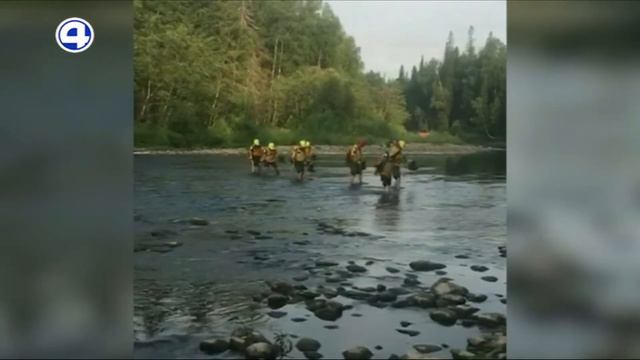 Спасают животных от пожара смотреть онлайн