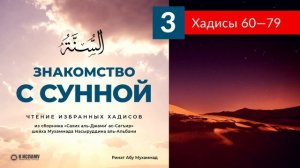 Чтение избранных хадисов. Хадисы 60-79. Ринат Абу Мухаммад