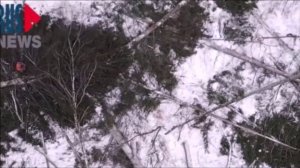 Троицкий Лес !