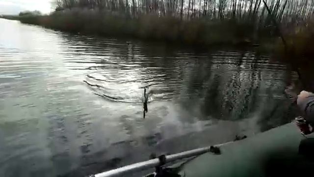 Осенняя щука. Воронежское водохранилище смотреть онлайн