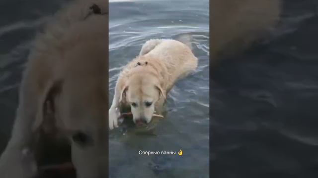 Озерные ванны