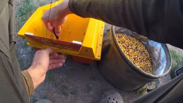 ЛОВЛЯ КАРПА НА ЧУФУ. ВЫХОД БОЛЬШИХ КАРПОВ. НЕРЕАЛЬНАЯ РЫБАЛКА смотреть онлайн