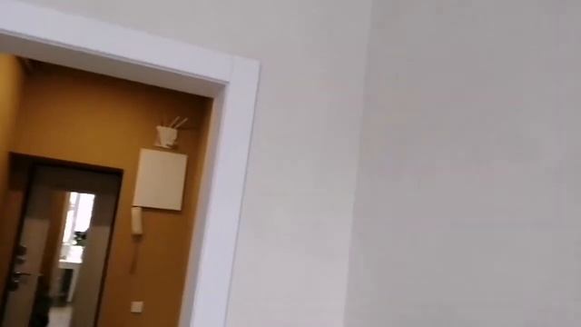 ДВЕРЬ НЕСТАНДАРТ, ВЫСОТА 195 СМ, ШИРИНА 65 СМ. ОТКОС 2М26СМ.