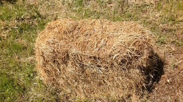 Оригинальные КЛУМБЫ своими руками. КЛУМБЫ ИЗ СЕНА. МОБИЛЬНЫЕ ГРЯДКИ. Июль 2017. смотреть онлайн