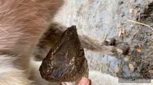 Стрижка копыт ослу