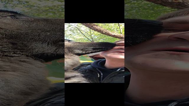 Поздравляю всех с Пасхой! 5 мая 2024 года смотреть онлайн