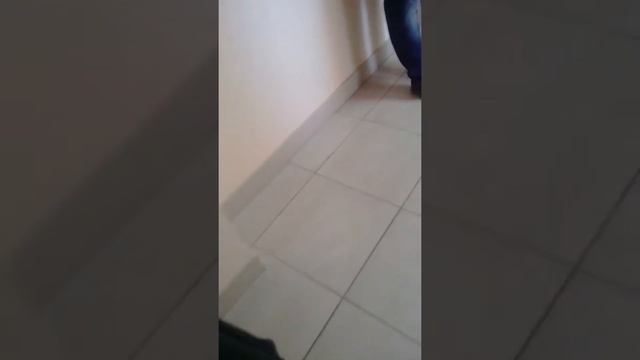 №2 28.04.2017 Ленинский районный суд Краснодара смотреть онлайн