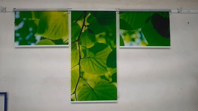 РУЛОННЫЕ ШТОРЫ С ФОТОПЕЧАТЬЮ НА ТРИ СТВОРКИ смотреть онлайн