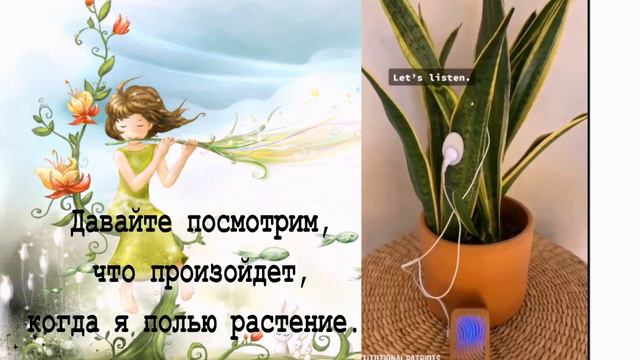 Музыка природы, которую мы НЕ СЛЫШИМ #музыка #природа #частота #наука #звук смотреть онлайн