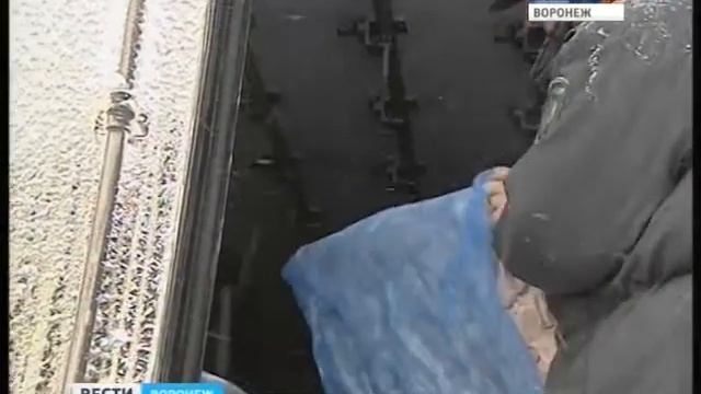 О работе Управления Россельхознадзора по Воронежской области в усиленном режиме смотреть онлайн