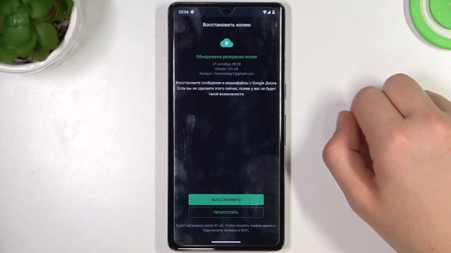 Как овсстановить данные WhatsApp на устройстве Google Pixel 7 Pro / Как восстановить чаты WhatsApp смотреть онлайн