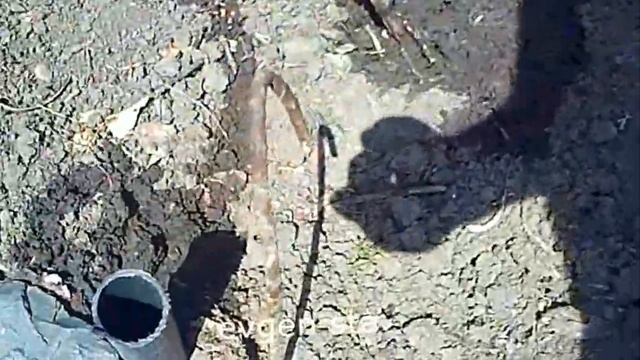 Поливка под корень винограда смотреть онлайн