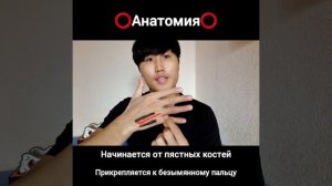 Немеет мизинец и безымянный палец. Самомассаж. Доктор Пак