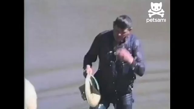 Баран прикололся над рыбаком смотреть онлайн