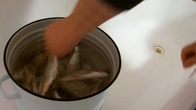 Дом и Обустройство