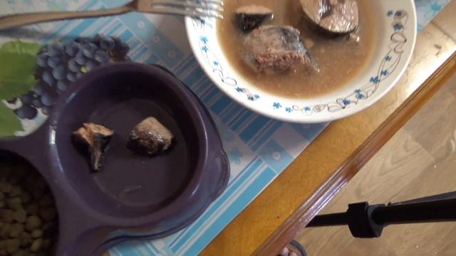 ТУНЕЦ ИЗ ФИКС ПРАЙС,тунец натуральный куски,Русский рыбный мир,натуральный тунец,тайна океанов