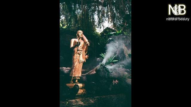 15 Minute Meditation Music, buddha's flute music, buddhist meditation music, #buddhasflute смотреть онлайн