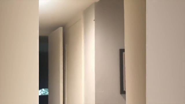 ПРИКОЛЫ С ЖИВОТНЫМИ ДО СЛЕЗ _ Смешные КОТЫ 2021 _ Приколы с КОТАМИ _ Funny ANIMALS video #24.mp4 смотреть онлайн