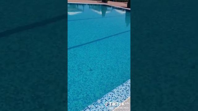 Не травите себя хлором и другими окислителями. Качество воды в бассейнах обрабатываемых ионами мет. смотреть онлайн