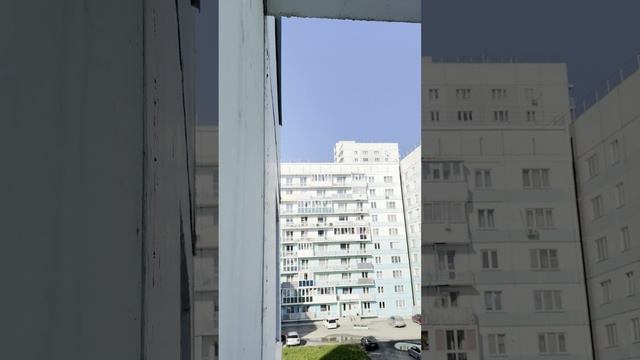 Зам-р Ал-ния с обш-кой смотреть онлайн