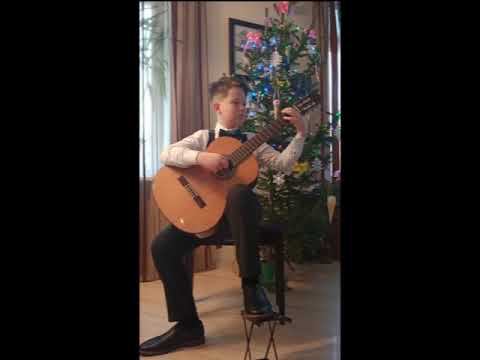 Шелудько Дмитрий, МБУДО ДМШ № 6, Новосибирск