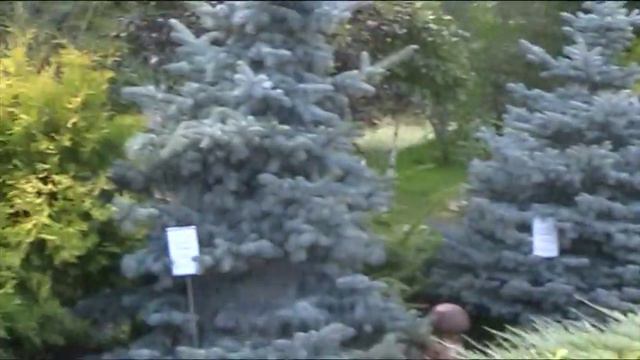 поездка на алтай 2014года 015 смотреть онлайн