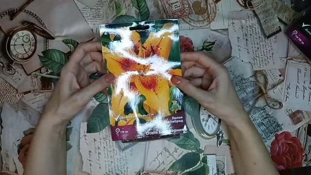 Обзор пиона Кора Луиза и новых лилейников. Февраль 2022 г. смотреть онлайн